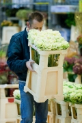 MIN RUNGIS-Fleurs-64